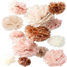 Vidal Crafts 20 Pcs Party Tissue Paper Pom Poms Set Blush Pink Tissue Pa... - £31.52 GBP