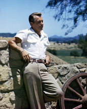 Alan Ladd Rare Portrait in white shirt leaning against wall 16x20 Poster - £15.97 GBP