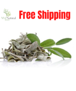 900gr Lebanese Loose White Sage Smudge grade A Leaves Cluster tea ميرمية... - $60.43 CAD