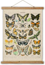 Vintage Butterflies Hanging Poster, Retro Style Of Wall Art, Ready To Hang - £33.64 GBP