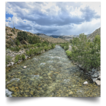 Satin Poster Square "West Walker River" - $14.85 - $29.69