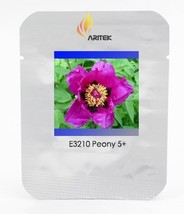 New Fresh Zi Die Ying Feng Dark Purple With Black Spot Peony Flower Seeds Pack 5 - £3.81 GBP