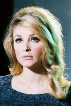 Sharon Tate 11x17 Mini Poster rare color portrait - £11.79 GBP