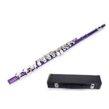 Purple Flute 16 Hole, Key of C with Case+Accessories - $99.99