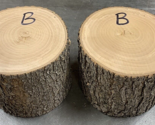 SET OF TWO NATURAL EDGE BRADFORD PEAR BOWL BLANK TURNING BLOCK LUMBER 5&quot;... - $49.45