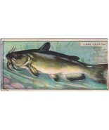 Cowan Co Toronto Card Lake Catfish Canadian Fish - $9.89