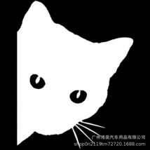 Mysterious Black Cat Car Sticker Black Cat Pee Car Stickers Funny Vinyl Decal Ca - £49.97 GBP