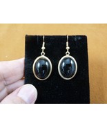 (EE471-200) 14x11mm Black onyx cabochon gemstone brass dangle gold tone ... - $14.99