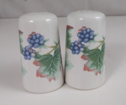 Vintage Julie Pople Country Fruit Collection Thimbleberry Salt &amp; Pepper ... - $272.21 MXN