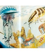 1958 Fish Jellyfish Sea Life Luminous Bacteria Life Magazine Centerfold ... - $736.23 MXN
