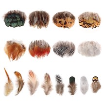 8 Styles Assorted Craft Feathers (160Pcs), Natural Chicken Feathers For ... - £17.27 GBP