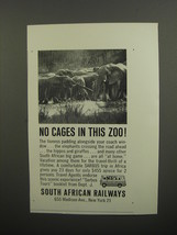 1962 South African Railways Ad - No cages in this zoo! - £14.52 GBP