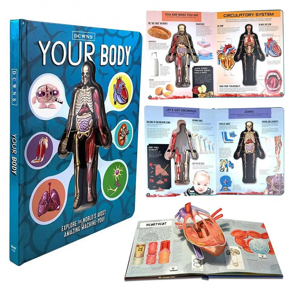 Inside Out Human Body Structure 3D Picture Anatomy English Popular Science Book - £17.30 GBP