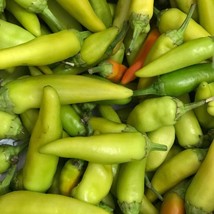 Pepperoncini Italian Pepper Seeds 25+ Mild Vegetable Non-Gmo From US - £6.93 GBP