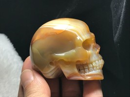 Natural Agate Carved Skull Realistic Healing Crystal Healing L012523-L - £37.33 GBP