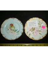 1800s Vintage Hand Painted Porcelain Plates - £118.66 GBP