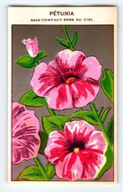 1920&#39;s Flower Seed Art Print PETUNIA Lithograph Original Vintage Unused - £8.60 GBP