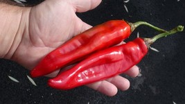 Item image 1 image 1