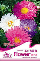 1 Pack 30 Seeds Powder Puff Aster Mix Callistephus Chinensis Flower Seed... - $9.97