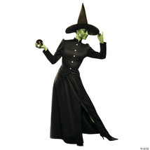 Classic witch adult small - $98.49