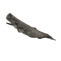 CollectA Sperm Whale Figure (Extra Large) - £17.66 GBP