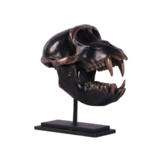 Monkey Macaque Skull Life Size Statue - £82.93 GBP