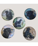 Labrador Retriever Collectible Franklin Mint Decorative Plates Set Of 5 - $46.75