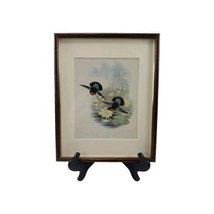 Purple-Throated Carib Hummingbird Print Matted and Framed John Gould  - $37.90