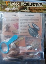 10 PC 1st Fossil Collection Kit Great Science Holiday Gift For Kids New - £14.24 GBP