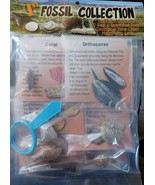 10 PC 1st Fossil Collection Kit Great Science Holiday Gift For Kids New - $339.28 MXN