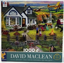 Ceaco Jigsaw Puzzle - The Fly By - David Maclean 1000 Piece with Bonus P... - $13.99