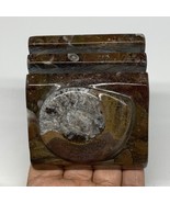 510g, 2.8&quot; x 2.8&quot; x 1.9&quot; Fossils Orthoceras Ammonite Business Card Holde... - £10.98 GBP
