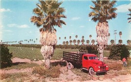 Bartles 1950s Farming Agriculture Green Bean Harvest Lower RioTruck 3059... - $8.51