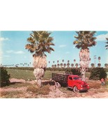 Bartles 1950s Farming Agriculture Green Bean Harvest Lower RioTruck 3059... - €7,22 EUR