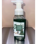 BATH &amp; BODY WORKS WINTER CITRUS WREATH GENTLE FOAMING HAND SOAP 8.75oz NEW - $365.15 MXN