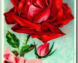 Red Rose Embossed Unused DB Postcard G9 - $6.88