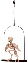 Crazy Bonez Perched Skeleton Parrot - £75.77 GBP