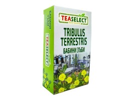 TeaSelect Tribulus Terrestris Natural Tea in Filter Bags Herbal Tea for Men - $3.58