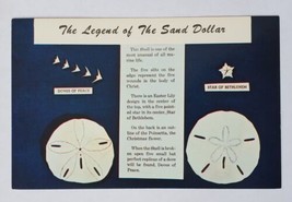 Postcard The Legend of The Sand Dollar The Mellita Testudinata Nautical Info - $4.79