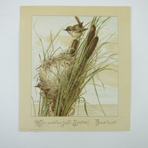 Victorian Easter Greeting Card Birds Nest in Cattails Yellow Green Antique 1884 - £11.76 GBP