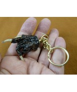 (G120-33) KEYCHAIN GATOR Aligator ALLIGATOR Claw foot key I love gators ... - $13.63 CAD