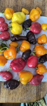 Item image 14