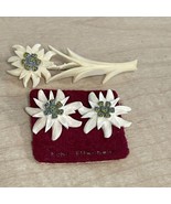 Vintage Echi Elfenbein Clip On Earrings Brooch Set Estate Jewelry Find K... - £19.10 GBP