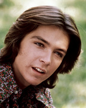 David Cassidy The Partridge Family Classic Portrait Photo 8x10 Photo - £7.78 GBP