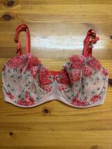 32DDD victoria’s Secret Dream angels push-up without padding bra Red Flo... - $18.80