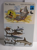 1978 Walt Disney&#39;s Fun &amp; Facts Flashcard DFF12-2: The Sharks - $2.00