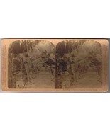 Underwood Stereoview Card Hawaiian Islands Heart Of Banana Plantation 1901 - $5.70