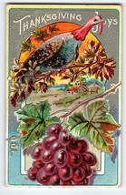 Thanksgiving Greetings Postcard Embossed Turkey Grapes Vines Unposted Vintage - £4.94 GBP