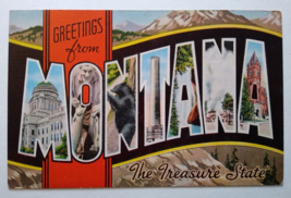 Greetings From Montana Postcard Large Letter Kropp Black Bear Mountains ... - $16.15