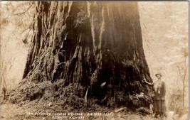 California Gen Pershing Second Big Tree Redwood Highway Big Tree Pk Postcard Y12 - £9.34 GBP